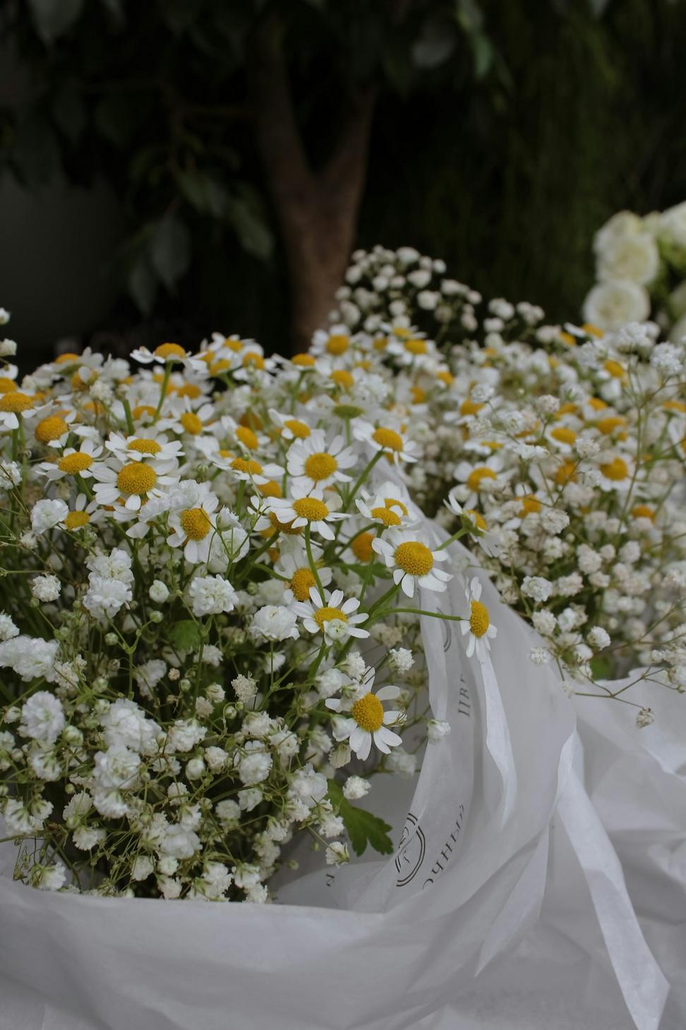 Sympathy arrangement