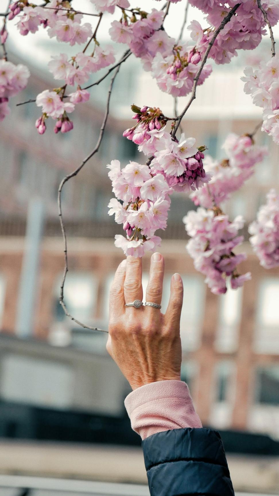 Hands making bouquet